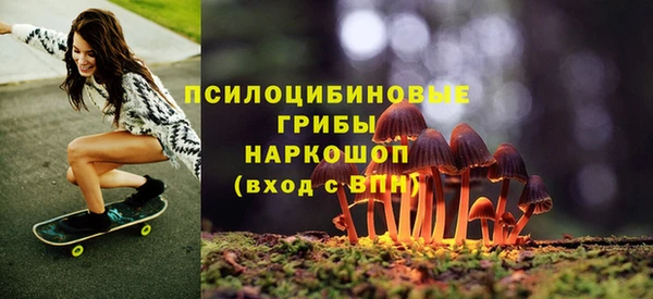 соль ск Богородицк