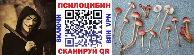 Псилоцибиновые грибы мицелий  как найти закладки  Ковылкино 